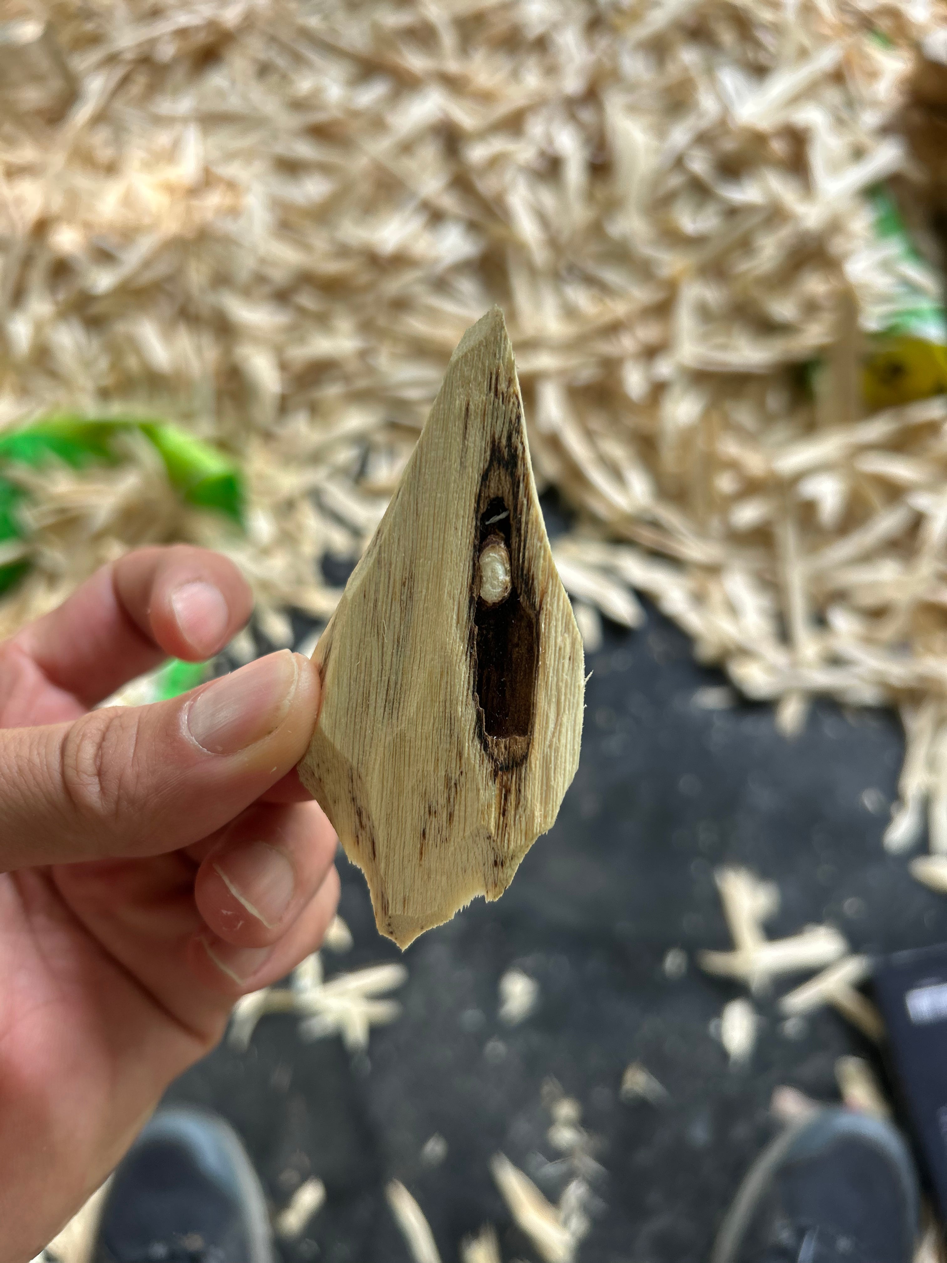 35 Years Old Tree Super Royal Sinking Oud - 250g -  عود غوّاص سوبر ملكي